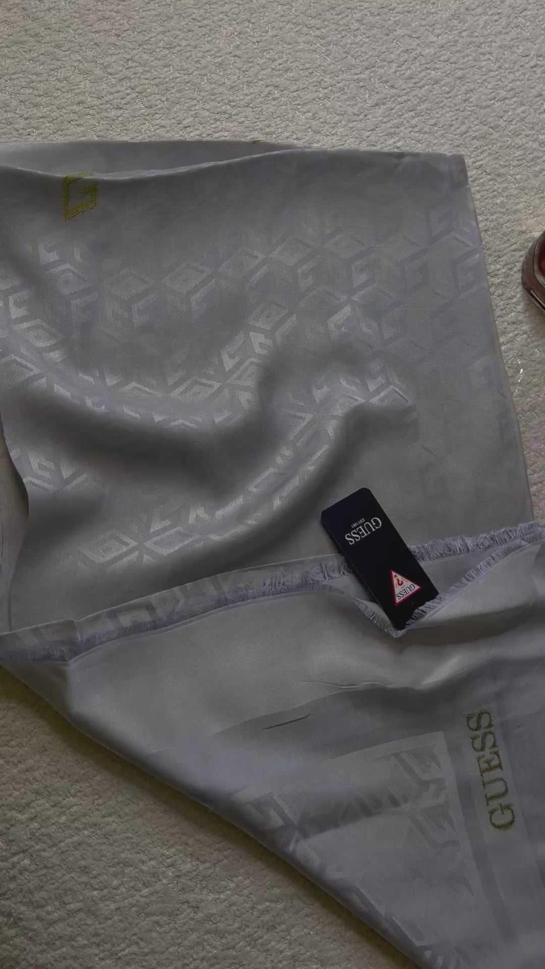 Étole Guess Gris